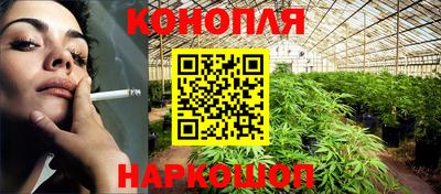 гидра Заволжье