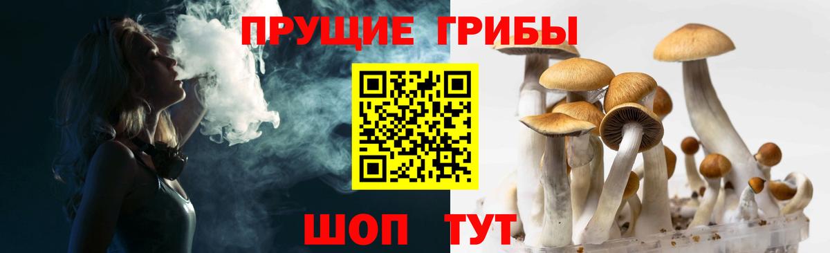 Псилоцибиновые грибы Cubensis  Вход с VPN  Мелеуз 